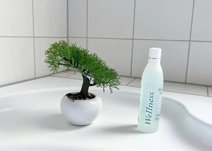 Penthouse Am Goethepark - & * Weimar (Thuringia)